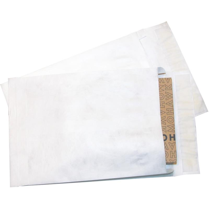 Image Tyvek Envelope